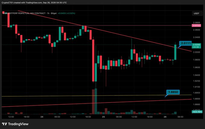 A TradingView candlestick chart for BTCUSDT (Bitcoin Perpetual Contract) on Binance shows price action between approximately 1.8850 and 2.0800, with a current price around 2.0111.