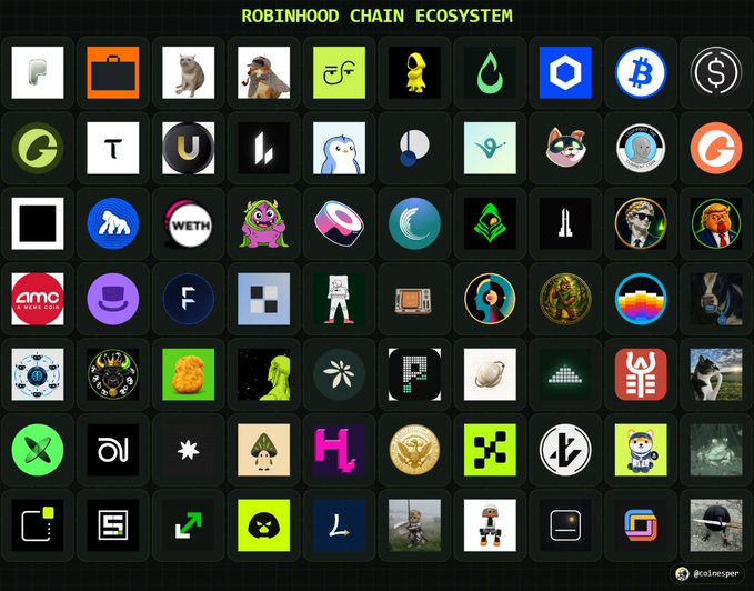 A chart titled "ROBINHOOD CHAIN ECOSYSTEM" displays a grid of various cryptocurrency and token logos, watermarked "@coinsniper".
