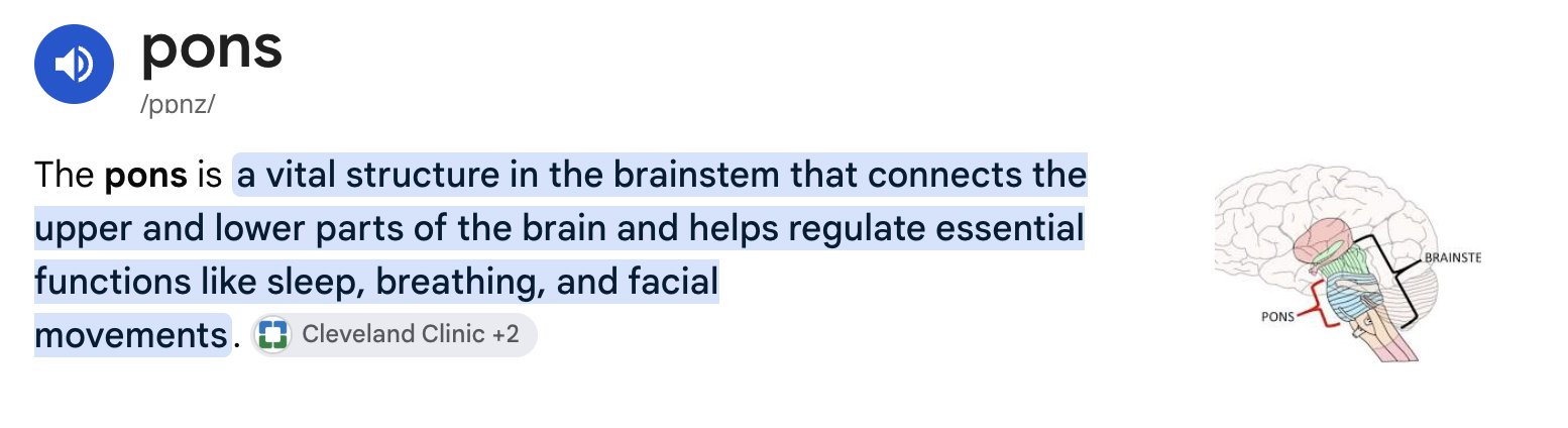 A dictionary entry defines "pons" as a vital brainstem structure connecting the upper and lower brain, regulating sleep, breathing, and facial movements. The image humorously supports a post joking about launching "Ponscoin" on Robinhood by revealing "pons" is simply a real anatomical term, not a cryptocurrency name.