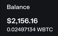 A wallet balance display showing $2,156.16 equivalent to 0.02497134 WBTC (Wrapped Bitcoin).