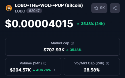 A cryptocurrency tracking screen displays LOBO+THE+WOLF+PUP (Bitcoin) ticker LOBO at $0.00004015, up 35.18% in 24h with a market cap of $702.93K.