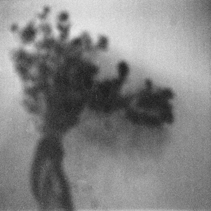 A blurry, grainy black and white photograph showing the silhouette of a tree or plant-like figure with cloud-like shapes.