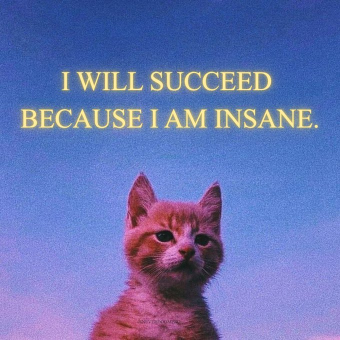 A pink-tinted image of an orange kitten looking up against a purple/blue sky, with the yellow text 'I WILL SUCCEED BECAUSE I AM INSANE.'