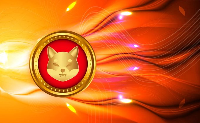 A digital illustration featuring a gold Shiba Inu dog coin with a red center on a vibrant, flowing orange and red background with light flares.