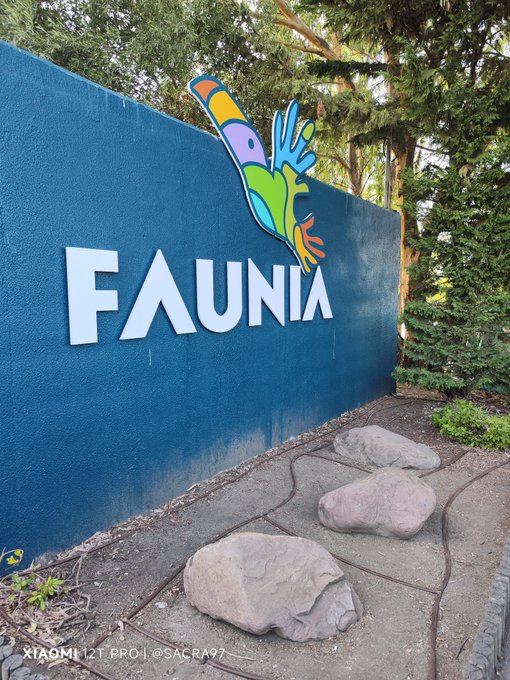 A blue wall sign reads 'FAUNIA' with a colorful abstract animal logo above the text, situated outdoors with trees and decorative rocks nearby.
