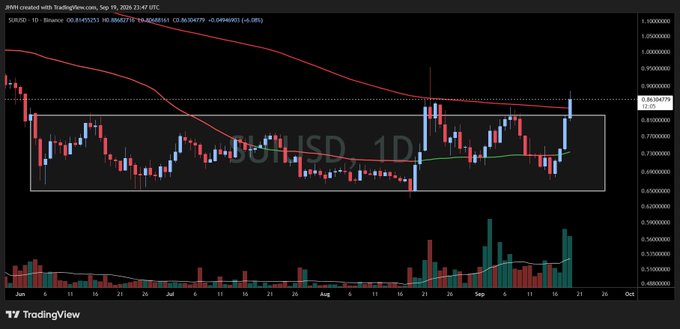 A TradingView candlestick chart for SUI/USD on Binance on the 1D timeframe, dated Sep 19, 2024, showing a price level of 0.863677.