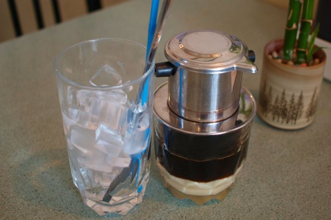 A glass filled with ice and a blue-striped straw sits next to a glass syrup dispenser with a metal top containing a dark liquid, alongside a small potted bamboo plant.