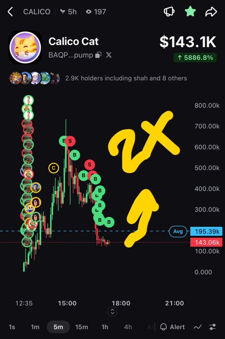 A cryptocurrency trading chart screenshot for "Calico Cat" (BAQP...pump) showing a price of $143.1K with a 5886.8% increase, marked with a hand-drawn "2x" and an upward arrow.