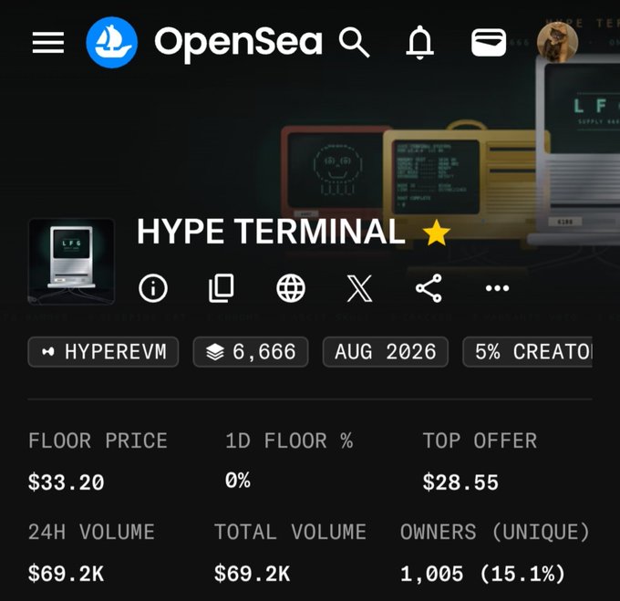 An OpenSea NFT collection page for 'HYPE TERMINAL' on the HYPEREVM network, showing a floor price of $33.20, 1,005 owners, and $69.2K total volume.