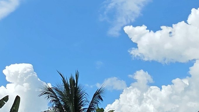 A view of a bright blue sky with scattered white clouds above the tops of palm trees.