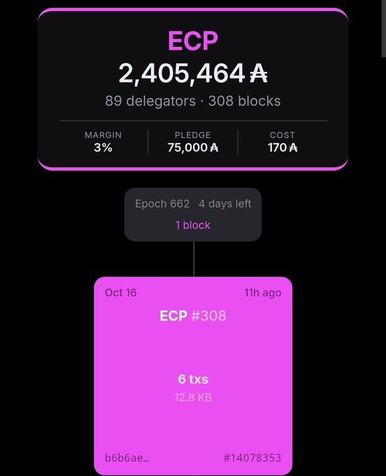Mobile app screenshot showing an ECP token validator dashboard with 2,405,464 A staked by 89 delegators across 308 blocks, displaying margin, pledge, and cost metrics, along with a block #308 entry from Oct 16 containing 6 transactions.