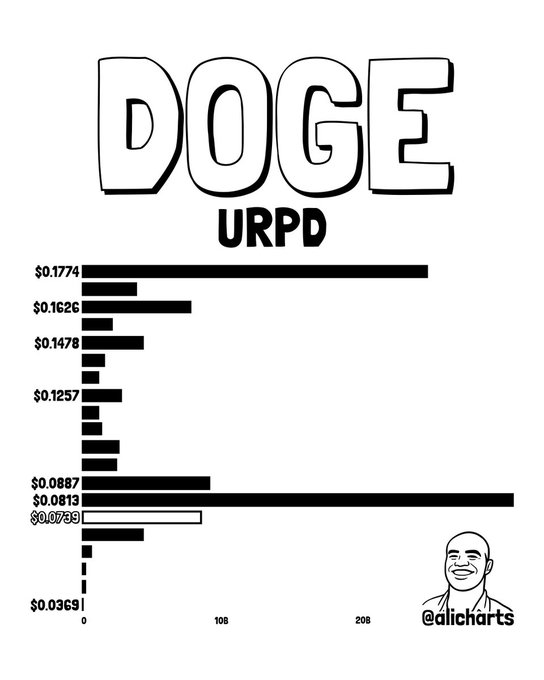 A chart titled "DOGE URPD" displays price levels with horizontal bars indicating volume distribution at key price points ranging from $0.0369 to $0.1774, with the longest bars at $0.0813 and $0.1774 highlighting major supply zones. The illustration includes a smiling man labeled "@alicharts" in the bottom right corner, supporting the post's analysis that Dogecoin faces resistance at $0.081 before potentially reaching $0.177.