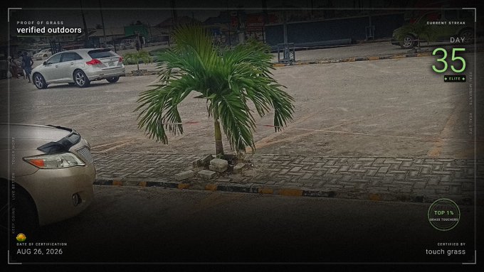 A screenshot of the Touch Grass app showing 'PROOF OF GRASS verified outdoors' with a 'CURRENT STREAK' of 35 days, a 'TOP 1% GRASS TOUCHERS' badge, certified on Aug 20, 2026, featuring a photo of a small palm tree in a planter on a street.