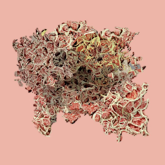 The image features a pink background with an abstract art piece that appears to be made of red, white, and black colors. The artwork has a unique texture resembling a plant or mushroom-like structure, giving it a surreal appearance. The image is accompanied by a caption that reads "magic ladders superrare.com/artwork/eth/0x …" which suggests the artist's name and possibly their website or social media account.
