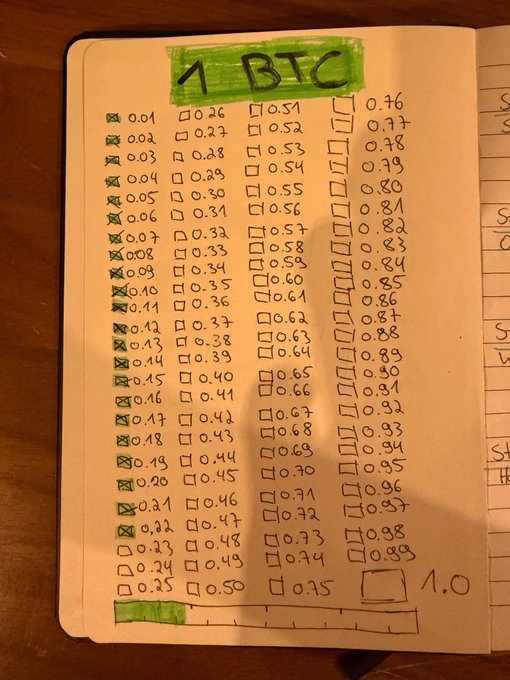 A handwritten notebook page titled '1 BTC' showing a checklist of fractional amounts from 0.01 to 1.0, with several boxes checked off in green marker to track accumulated Bitcoin progress.