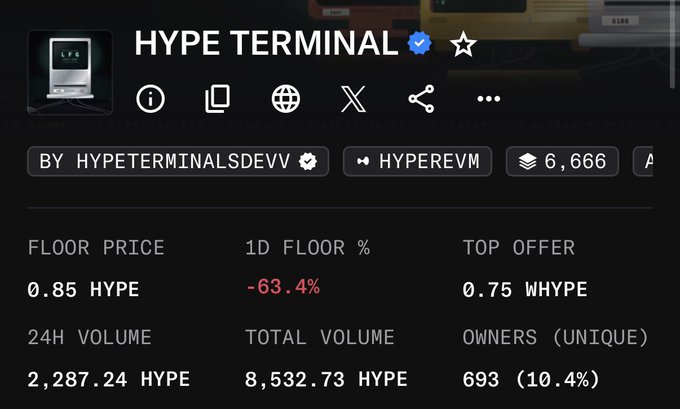 A screenshot of the HYPE TERMINAL NFT collection on HyperEVM, displaying a floor price of 0.85 HYPE with a -63.4% drop and 2,287.24 HYPE 24h volume.