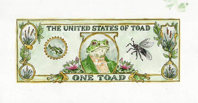 A whimsical illustration designed like currency, reading 'THE UNITED STATES OF TOAD' at the top and 'ONE TOAD' at the bottom, featuring a central toad wearing a suit and monocle with a dragonfly and tadpole.