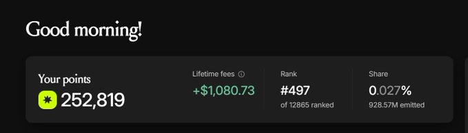 A dark-themed dashboard greeting 'Good morning!' showing 252,819 points, lifetime fees of +$1,080.73, a rank of #497 out of 12,865, and a share of 0.027% of 928.57M emitted.