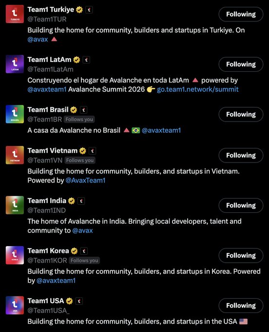 List of Twitter/X accounts for 'Team1' communities including Turkiye, LatAm, Brasil, Vietnam, India, Korea, and USA, all marked as 'Following' with descriptions of building Web3 communities.