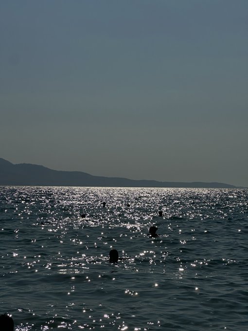 Silhouettes of people swimming in sparkling ocean water with sun reflecting off the surface and distant mountains on the horizon.