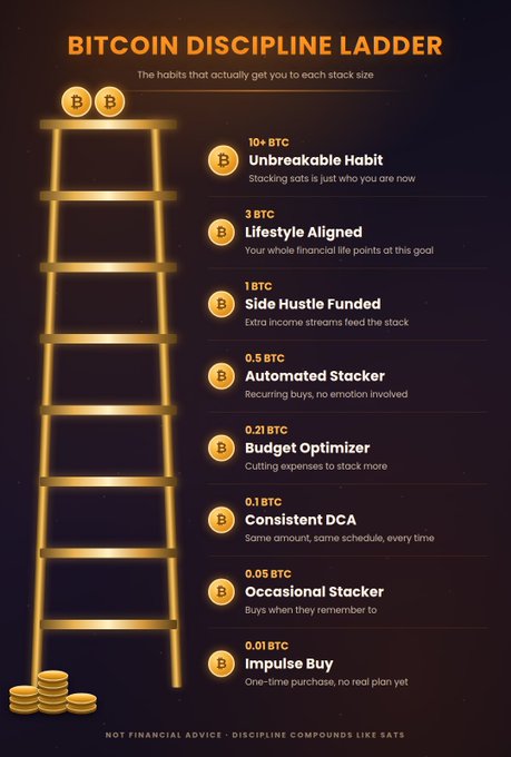 This image, titled "Bitcoin Discipline Ladder," presents a glowing golden ladder with 9 rungs representing progressive Bitcoin stack sizes from 0.01 BTC ("Impulse Buy") up to 10+ BTC ("Unbreakable Habit"), each labeled with the specific discipline needed to accumulate that amount, such as "Consistent DCA" at 0.1 BTC, "Budget Optimizer" at 0.21 BTC, and "Side Hustle Funded" at 1 BTC. The infographic visually reinforces the accompanying post's message that disciplined habits, rather than one-time purchases, are what build meaningful Bitcoin holdings over time.