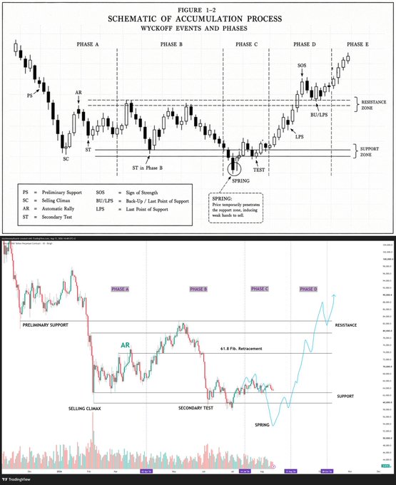 An educational diagram titled 'FIGURE 1-2: SCHEMATIC OF ACCUMULATION PROCESS' showing Wyckoff events and phases (A-E) including Preliminary Support, Selling Climax, Automatic Rally, Secondary Test, Spring, and Sign of Strength, paired with a TradingView chart illustrating these same phases in real market data.
