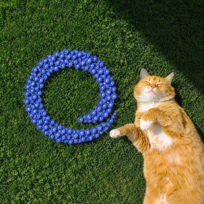 An orange tabby cat lies on its back on green grass, appearing to sleep peacefully next to a circle of small blue flowers arranged on the lawn.