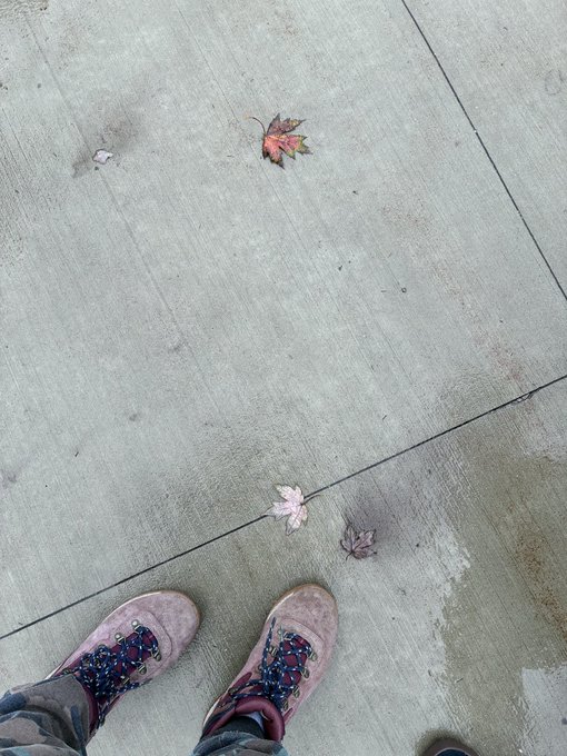 A first-person view of a person wearing dusty pink lace-up boots standing on a concrete sidewalk with fallen autumn leaves.