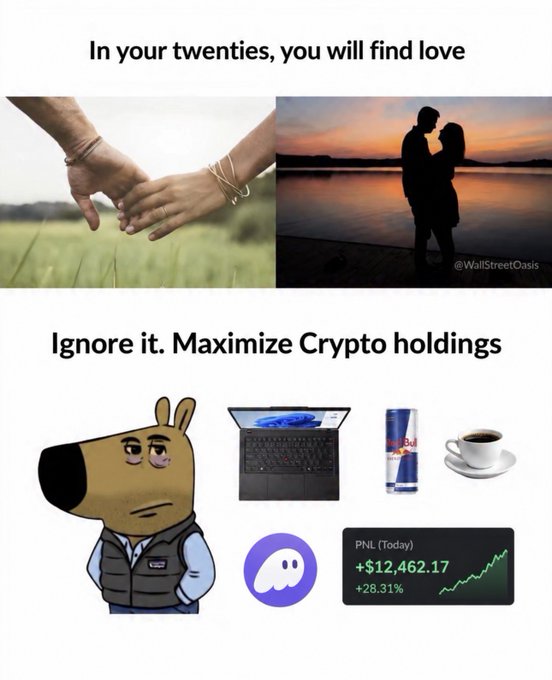 A meme showing hands holding and a couple silhouetted against a sunset with the text 'In your twenties, you will find love,' followed by an illustration of a dog character next to a laptop, Red Bull, coffee, a Discord icon, and a chart showing PNL +$12,462.17, with the text 'Ignore it. Maximize Crypto holdings.'