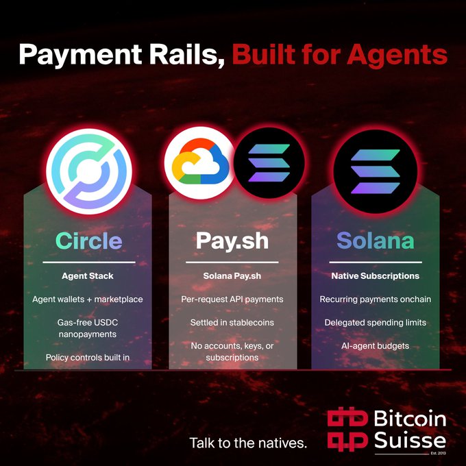 The image, titled "Payment Rails, Built for Agents," showcases three payment infrastructure options for AI agents: Circle's Agent Stack featuring gas-free USDC nanopayments with policy controls, Pay.sh enabling per-request API payments via stablecoins, and Solana offering native onchain subscriptions with delegated spending limits—all branded with Bitcoin Suisse's tagline "Talk to the natives."