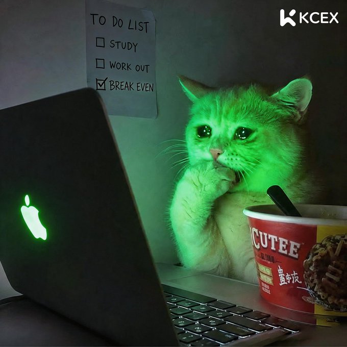 A meme featuring an orange cat with a glowing green face staring thoughtfully at a laptop, accompanied by a to-do list (Study, Work Out, Break Even) and a CUPUTEE instant noodle cup, branded with KCEX logo.