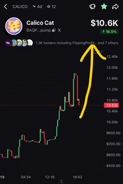 A mobile screenshot showing Calico Cat (BAGPUMP) crypto token priced at $10.6K, up 16.5%, with a hand-drawn yellow arrow pointing upward on the price chart.