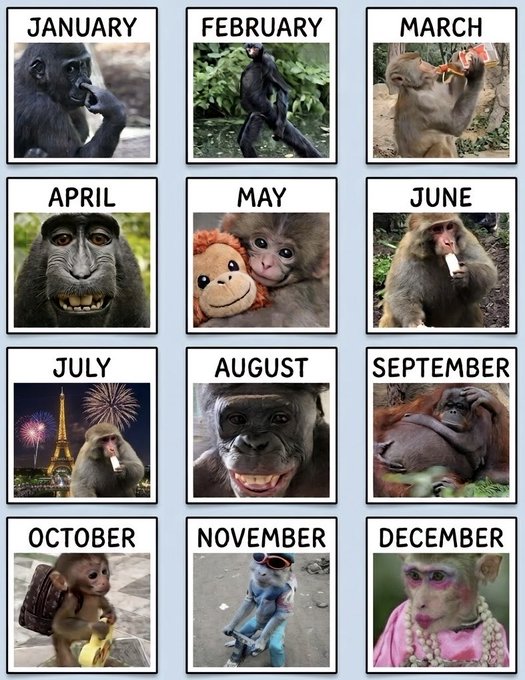 A 3x4 grid calendar showing each month with a different monkey/primate meme photo, ranging from a thoughtful chimpanzee in January to a flamboyantly dressed monkey in December.