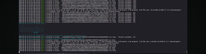 The image shows two console log screenshots displaying "TOCCATA Release-7" initialization messages, with repeated "Accepted block" entries and copyright text from 2017-2019, representing the official release announcement of the TOCCATA blockchain network.