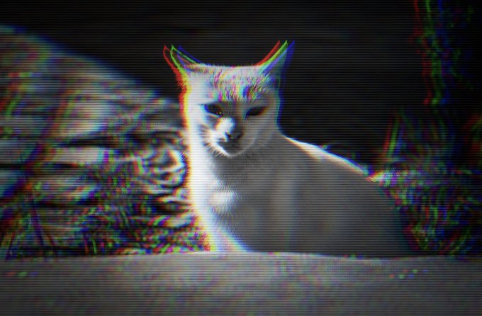 A photograph of a white cat sitting near a plaid cushion, stylized with a heavy VHS glitch effect featuring chromatic aberration and horizontal scan lines.