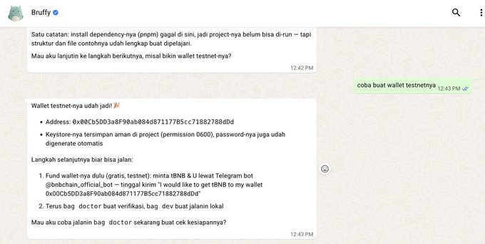 A Telegram chat with user "Bruffy" discussing cryptocurrency/BNB setup, wallet address 0x00Cb5DD3aBF90ab084d871177B5cc71882788dDd, and instructions to use @bnbchain_official_bot to fund a wallet.