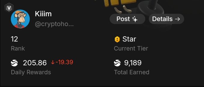 A digital profile dashboard showing the user 'Kiiim @cryptoho...' with a Rank of 12, Daily Rewards of 205.86, and Total Earned of 9,189 in the Star current tier.