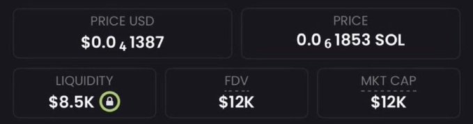A cryptocurrency tracker display shows a token priced at $0.041387 USD (0.061853 SOL) with only $8.5K liquidity and a $12K market cap, which appears to support the post's claim of an extremely low-value coin being pitched for a potential 1000x gain to $10 million.
