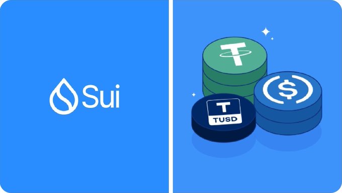 The image presents a comparison between different stacks of coins stacked on top of each other, with text around them indicating various cryptocurrencies including Bitcoin (BTC), Ripple (ETH), and TUDD. The bottom part of the image has the words "Sui", possibly referring to Sui or another cryptocurrency. The image also includes some numbers, which could be related to the value or transfer amount of these coins. The focus of this presentation is on the different stacks of coins and their respective values.