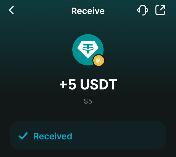 A mobile wallet screen showing a successful transaction 'Receive +5 USDT ($5)' marked with a 'Received' checkmark.