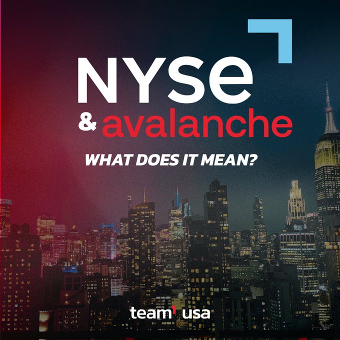 A promotional graphic featuring the New York City skyline at night with large text reading 'NYSE & avalanche WHAT DOES IT MEAN?' and the 'team1usa' logo at the bottom.