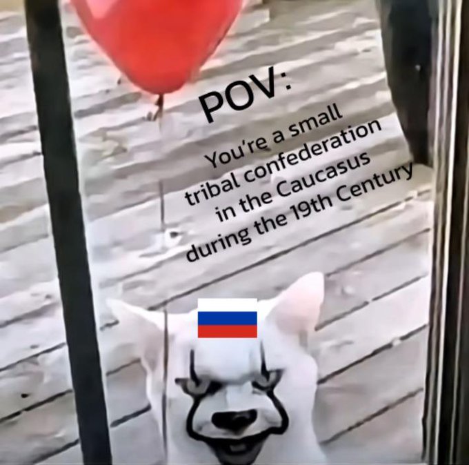 The image features a white dog wearing a red and blue flag pin on its head. The background of the image shows a wooden floor with a black door nearby. There are also some text elements present, including "POV" written above the dog's head and "gm ct smart money ain't chasing the shiny new $AI token again. they already got the $SOLX cheat codes dialed in memecoins on X that actually pay with real Grok AI on the paywall, the kind that slap you with a verifiable follow tag when you swipe."