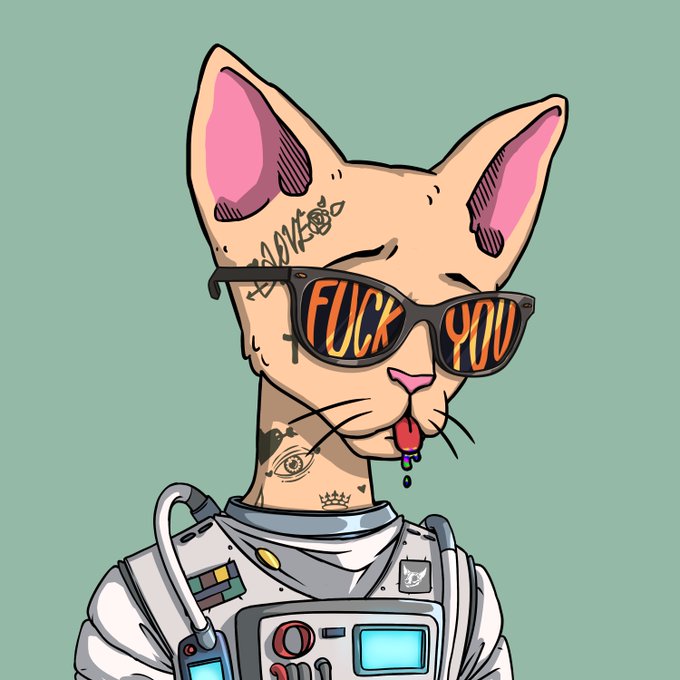 The image features a cartoon cat wearing sunglasses, with the word "FUCK" written across its face in orange letters. The cat appears to be dressed as an astronaut or space traveler, complete with a spacesuit. The background of the image is green, which contrasts with the pink and white colors of the cat's fur and the orange letters on its face. The caption below the image reads "An icon within the Solana space".