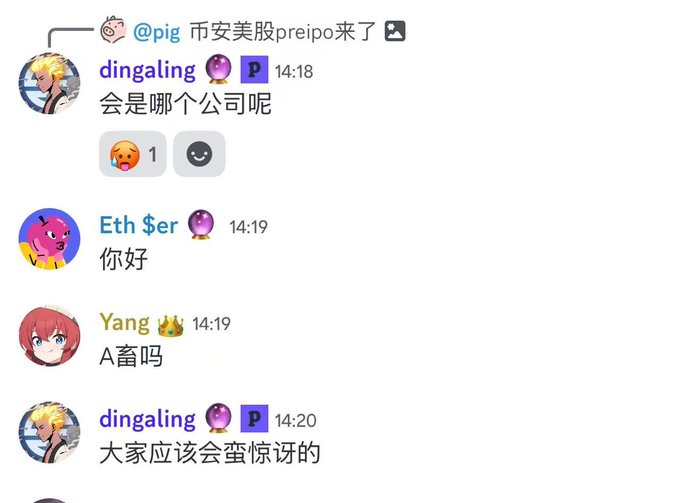 A chat conversation where users discuss speculation about an upcoming US pre-IPO, with @dingaling asking "会是哪个公司呢" (which company could it be?) and later predicting "大家应该会蛮惊讶的" (everyone will be quite surprised), while another user guesses "A畜吗" (could it be A畜?), reflecting the post's anticipation about a potentially surprising prediction market announcement.