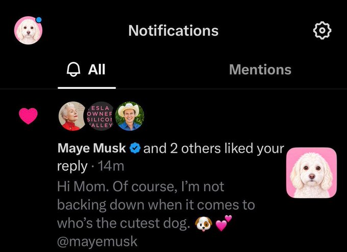 The image shows an Instagram notifications screen displaying that Maye Musk and 2 others liked a reply reading "Hi Mom. Of course, I'm not backing down when it comes to who's the cutest dog. 🐶💖 @mayemusk," with a pink poodle profile picture featured. The post promotes a PumpFun token launch via @UsePaid, suggesting the creator is using the playful interaction with Maye Musk as part of their memecoin marketing to attract attention to the $Delrey token (contract 92BVgXufGjaMUyANA97dvg8LqNb5VMg2wgRfve9tPdCG).