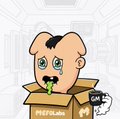 A cartoon illustration of a scared-looking puppy inside a cardboard box labeled 'PRESALE', holding a green object, with a small penguin character beside it.