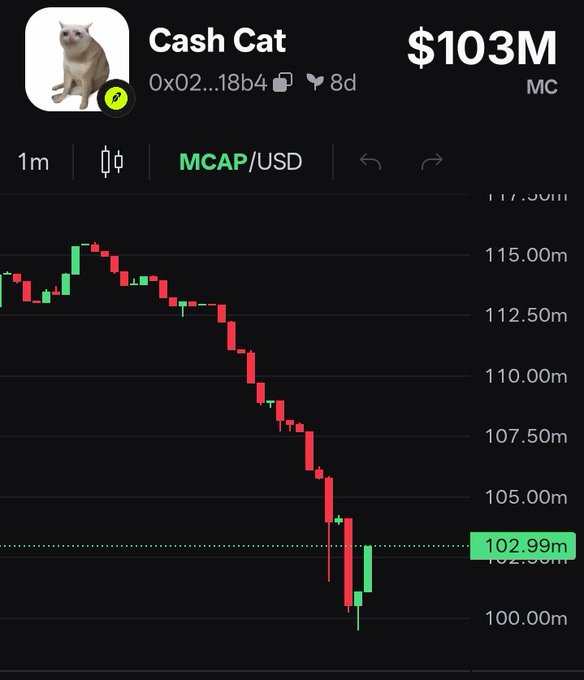 The image shows a price chart for the meme token "Cash Cat" (address 0x02...18b4), with a market cap declining from $117M to $103M on the 1-minute timeframe. The visible downtrend and "$103M" figure satirically suggest that the "Cash Cat" token has outperformed or surpassed the value represented by the "Robinhood" brand referenced in the post.