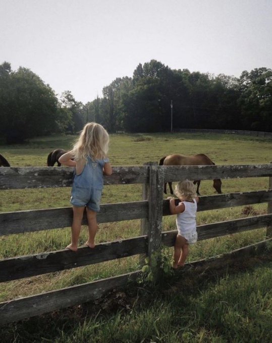 Two young blonde girls, one in a blue romper and the other in a white outfit, climb and look over a wooden fence in a green pasture where horses are grazing.