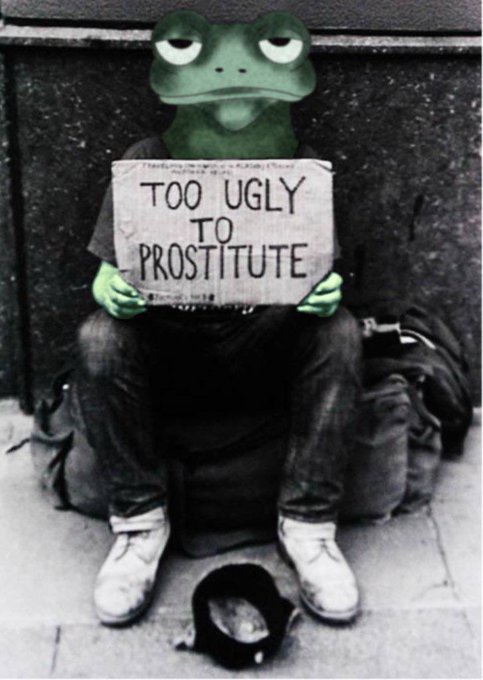 A sad Pepe frog sitting on a street holding a cardboard sign reading 'TOO UGLY TO PROSTITUTE' with a cup in front.