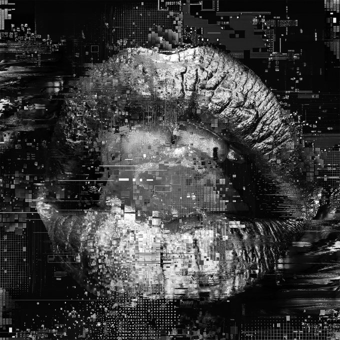 A black-and-white, glitch-distorted close-up of a primate's face, with heavy pixelation and digital noise effects overlaid across the image.